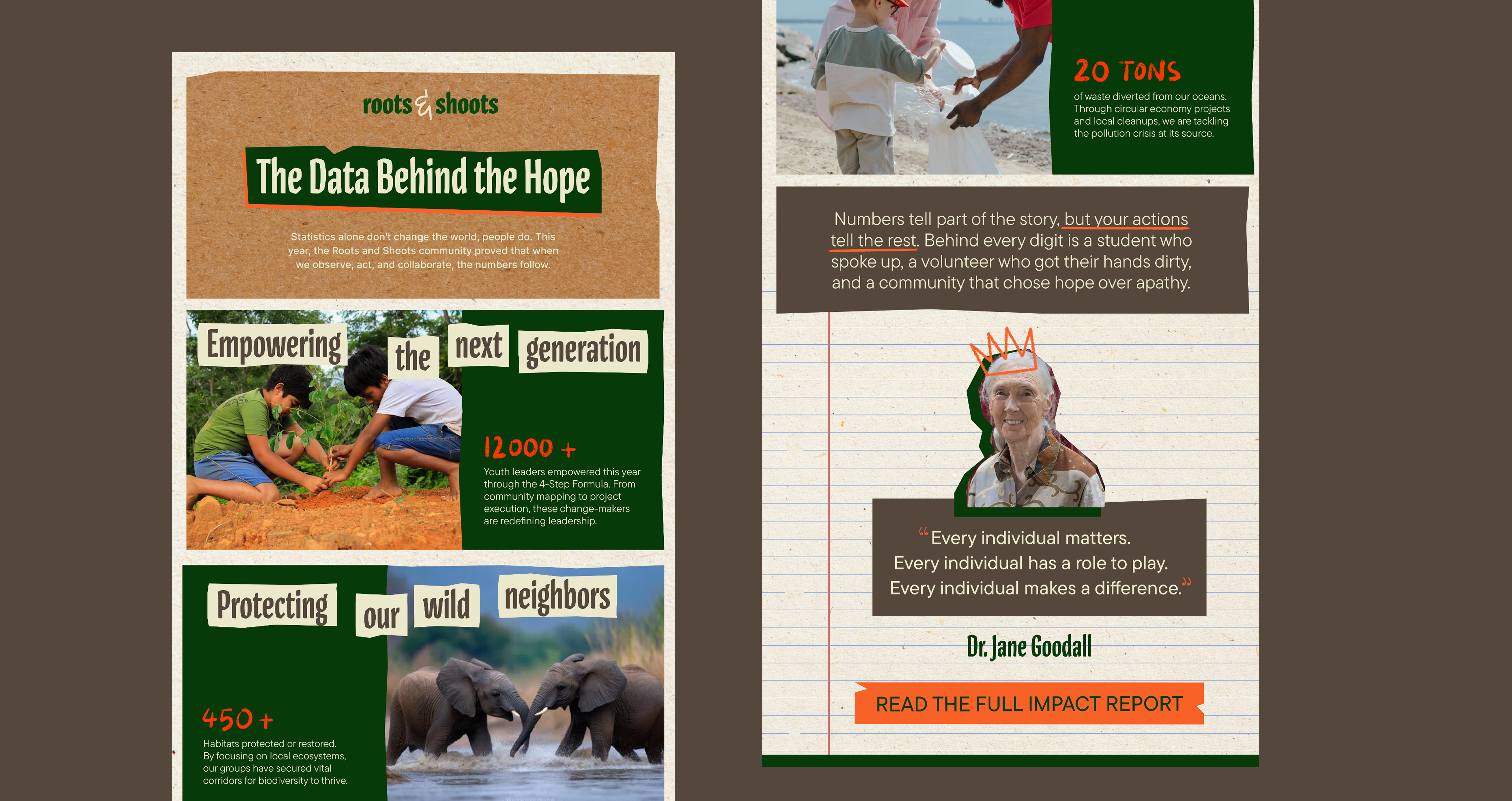Roots & Shoots pitch deck